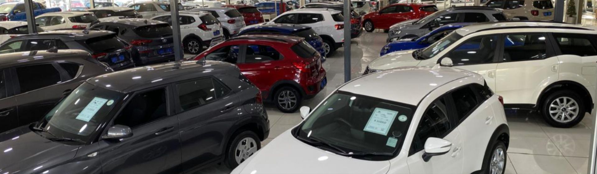 Botha and Deysel Executive Motors